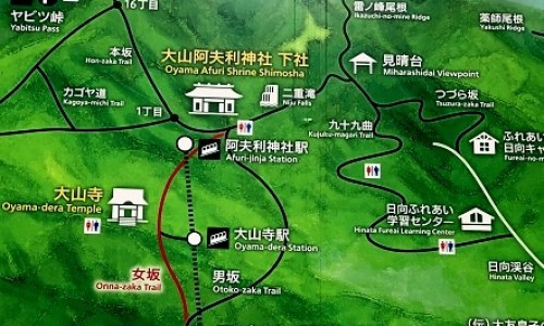 出汗多如何补充电解质元素、出汗多怎样补充电解质 -出汗多如何补充电解质网